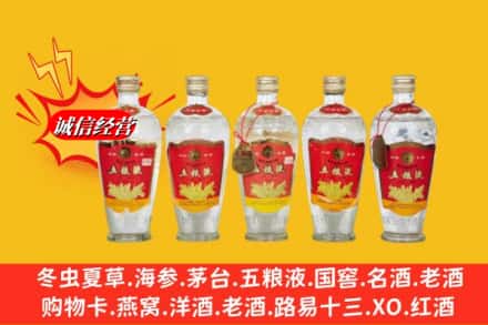 普洱镇沅县回收老五粮液